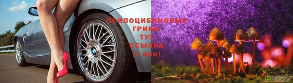 прущие крисы Алзамай