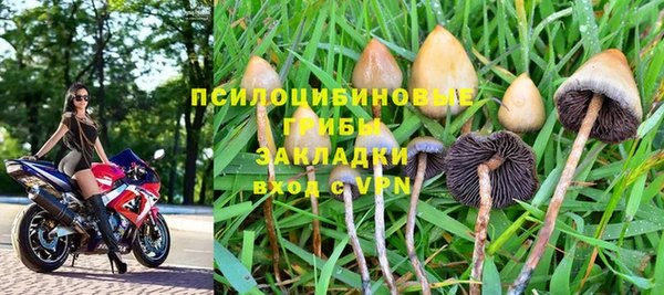 прущие крисы Алзамай