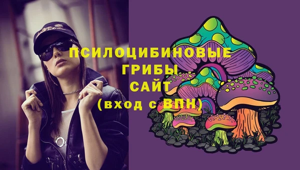 гидра Алексин