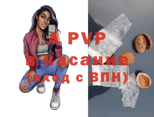 прущие крисы Абаза